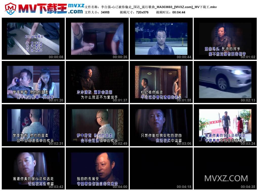 李自强-心已被你偷走_国语_流行歌曲_MA303693